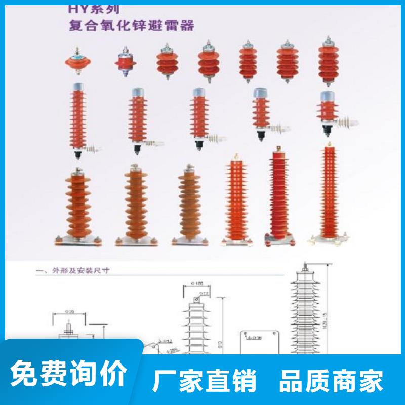 【羿振】避雷器Y10W1-96/250(G)W