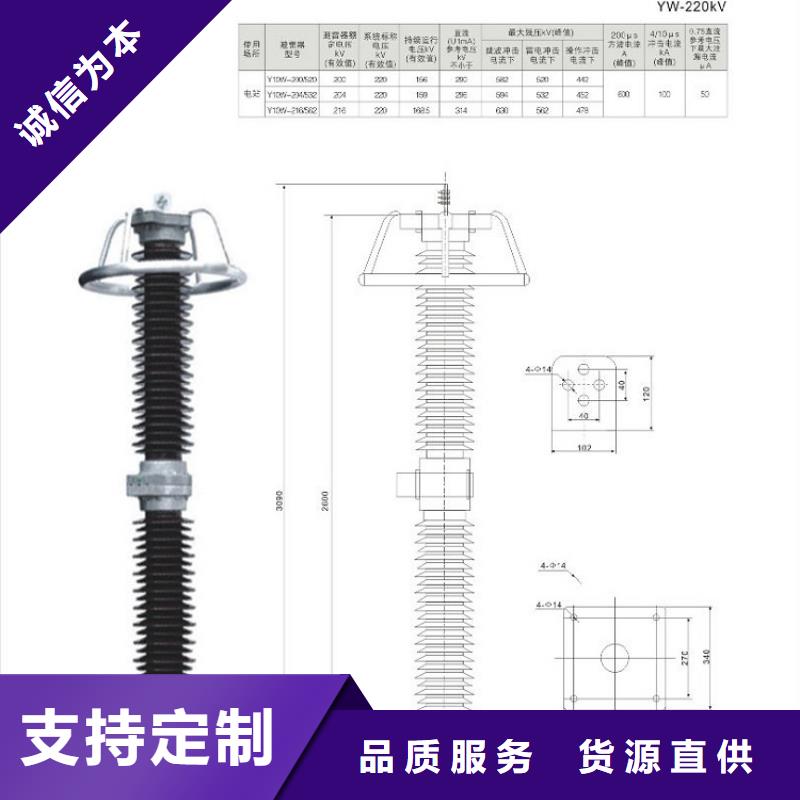 避雷器HY10WX-114/300