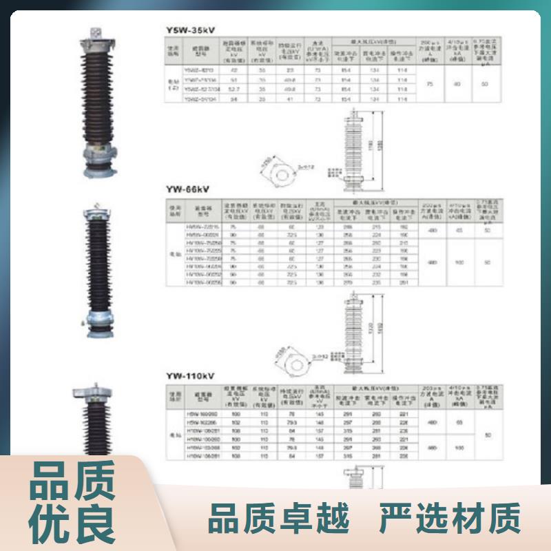 避雷器Y10W-200/496