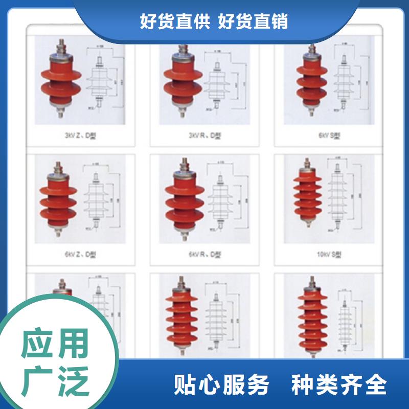 【羿振】避雷器Y10W1-96/250(G)W