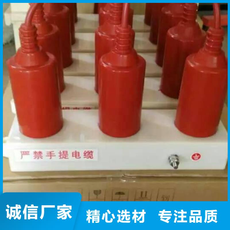 过电压保护器YH5WZ-51/150*51/134