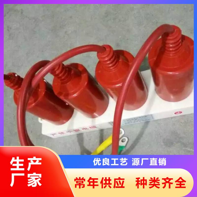 【避雷器/过电压保护器】TBP-B-6/280W2