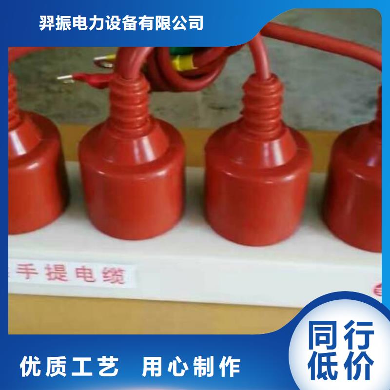 过电压保护器(组合式避雷器)YH5WZ-51/150*51/134