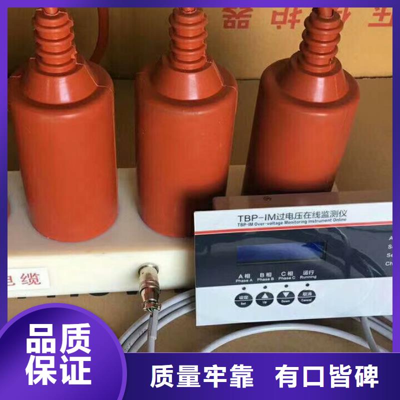 过电压保护器(组合式避雷器)YH5WZ-51/150*51/134