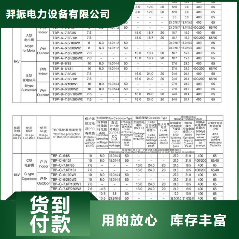 保护器(组合式避雷器)TBP-A-6.3/131