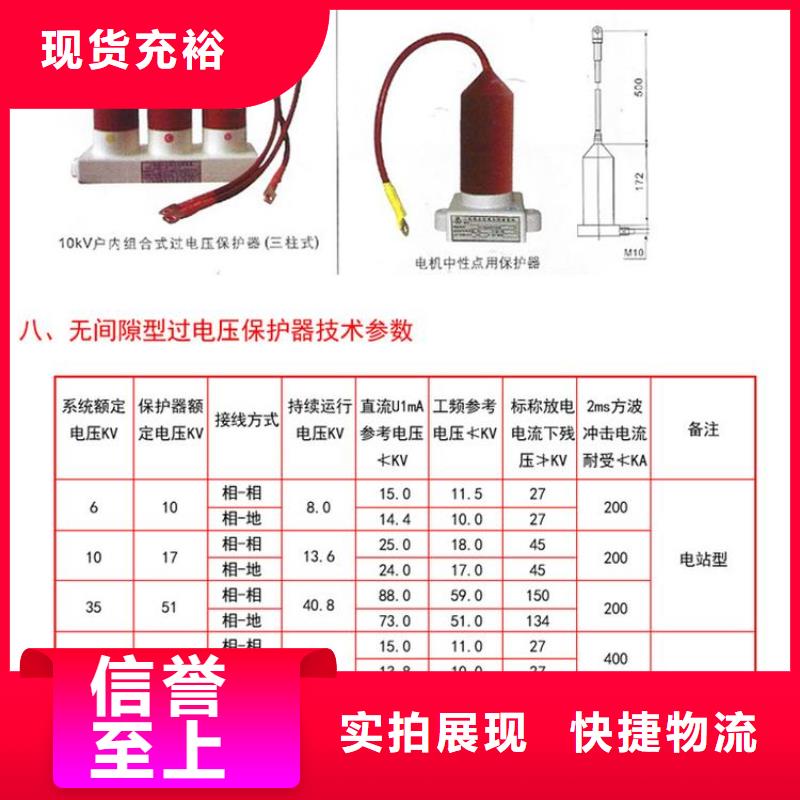 TBP-A-6.3/85-J过电压保护器生产厂家