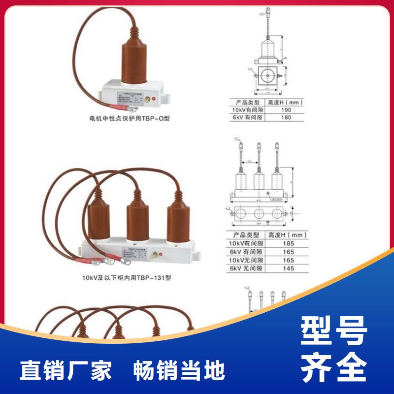 TBP-B-35/400W1过电压保护器生产厂家