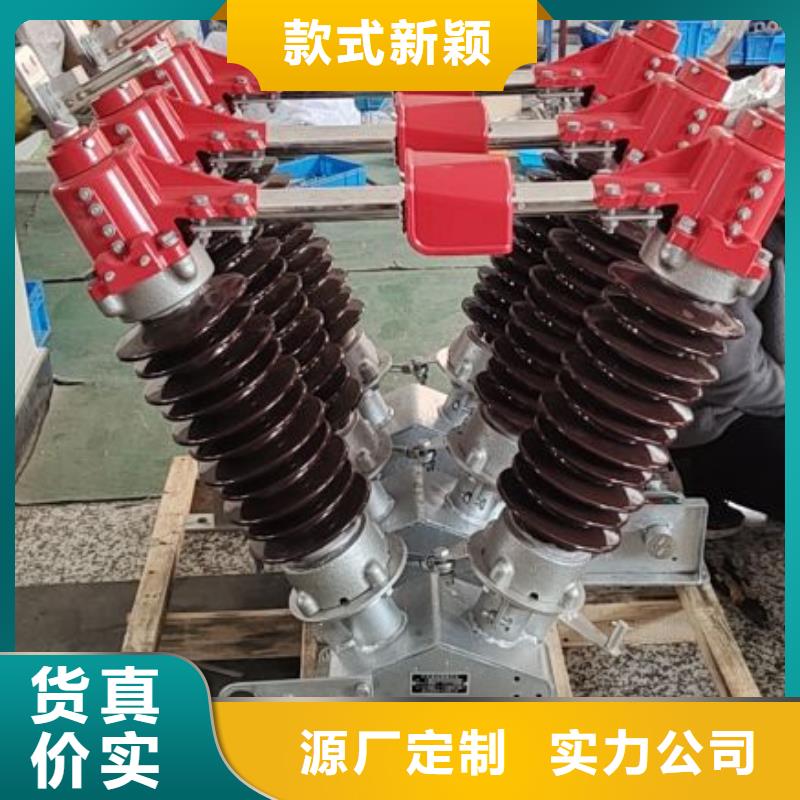 【GW4 GW5】高压隔离开关厂家敢与同行比服务羿振双路六相模拟断路器