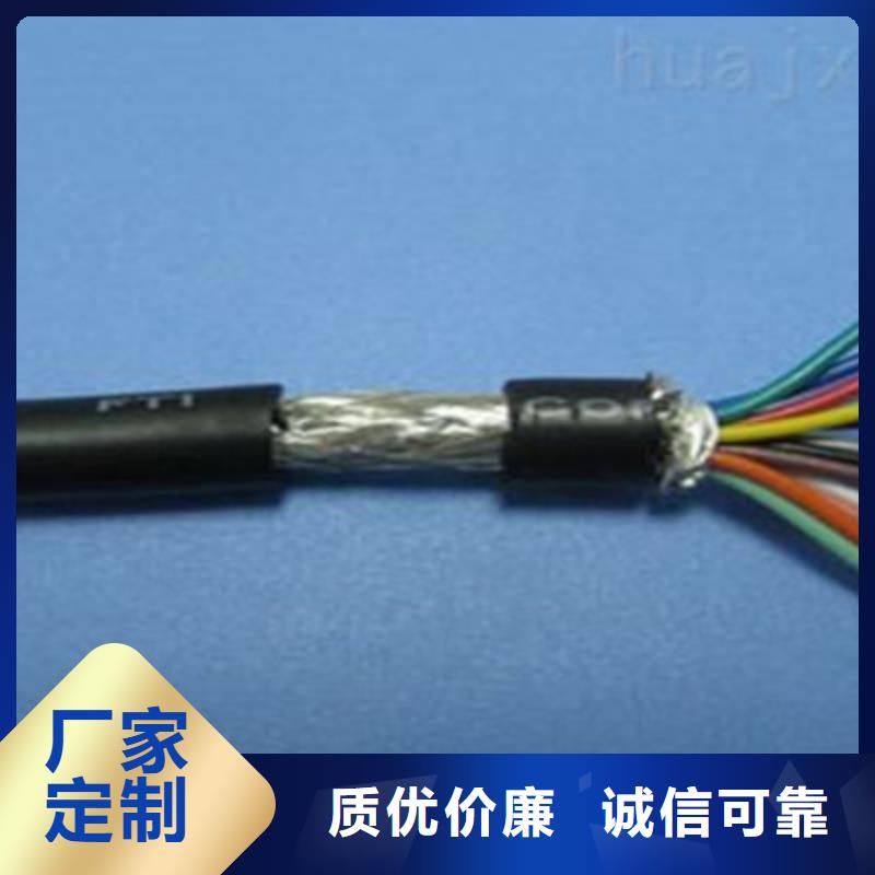 BIA-JYPV-2R2X2X0.5电缆现货厂家