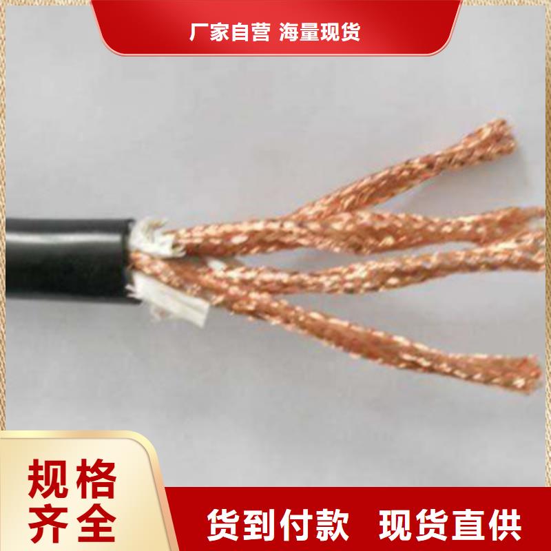 计算机电缆 【电缆生产厂家】买的放心电缆屏蔽电缆