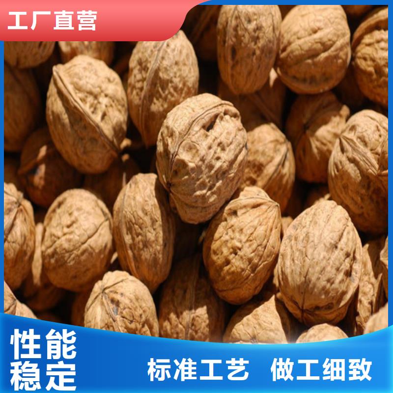 核桃苗-吉塞拉6号砧木用心做产品