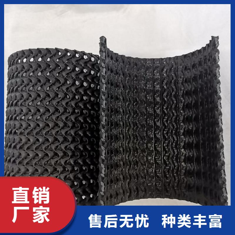硬式透水管,塑料排水板实力厂家直销