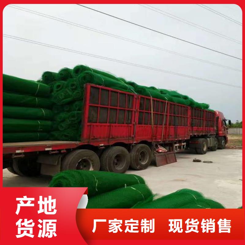 【 三维植被网 土工格栅做工精细】鼎诺复合土工膜