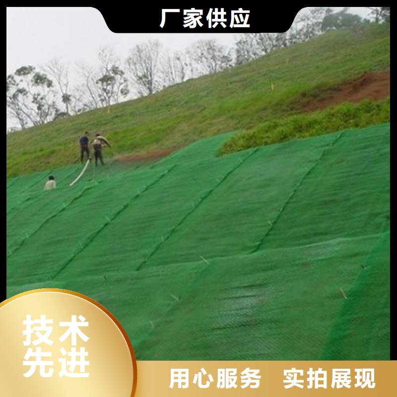 三维植被网,软式透水管现货齐全售后无忧