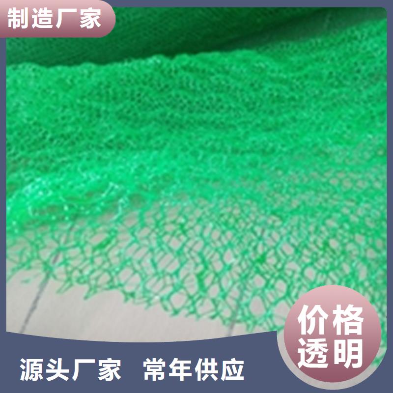 品质做服务 三维植被网 【防裂贴】厂家大量现货_鼎诺土工材料有限公司