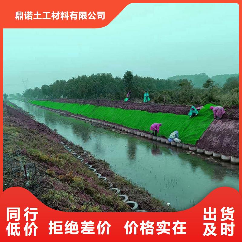 三维植被网复合土工膜好产品价格低