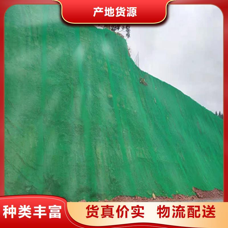 品质做服务 三维植被网 【防裂贴】厂家大量现货_鼎诺土工材料有限公司