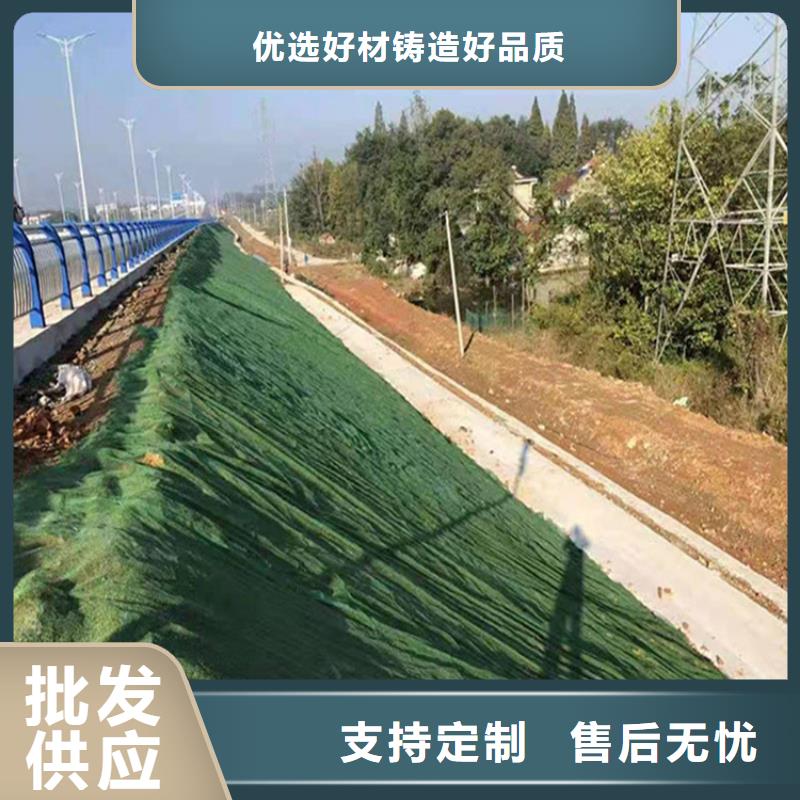 三维植被网【软式透水管】无中间商厂家直销