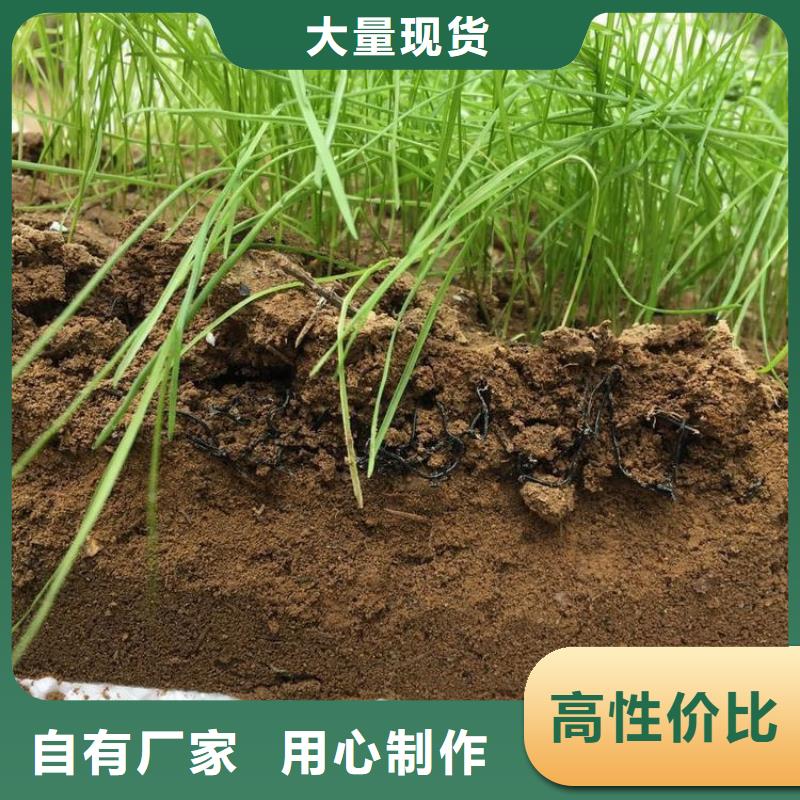 水土保护毯【复合土工膜】按需定做