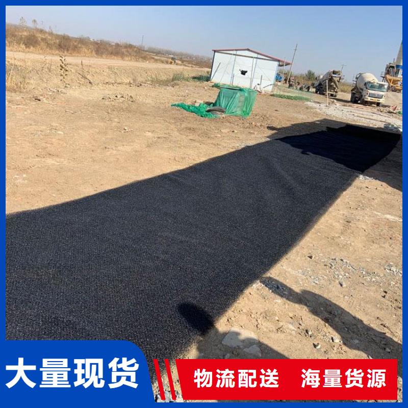 水土保护毯【植草格】真材实料加工定制_鼎诺土工材料(合作市分公司)