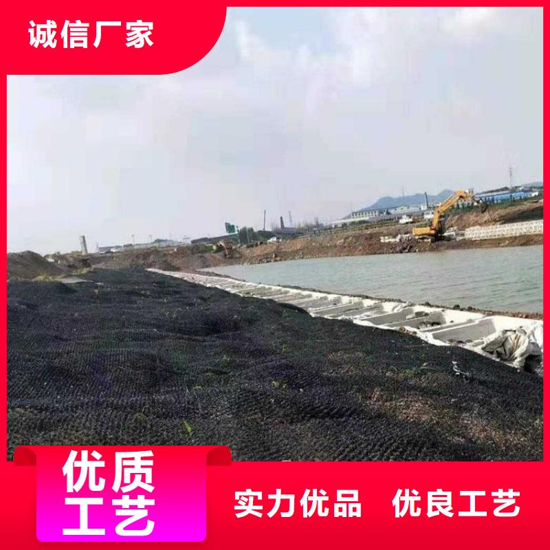 水土保护毯-HDPE土工膜实体厂家