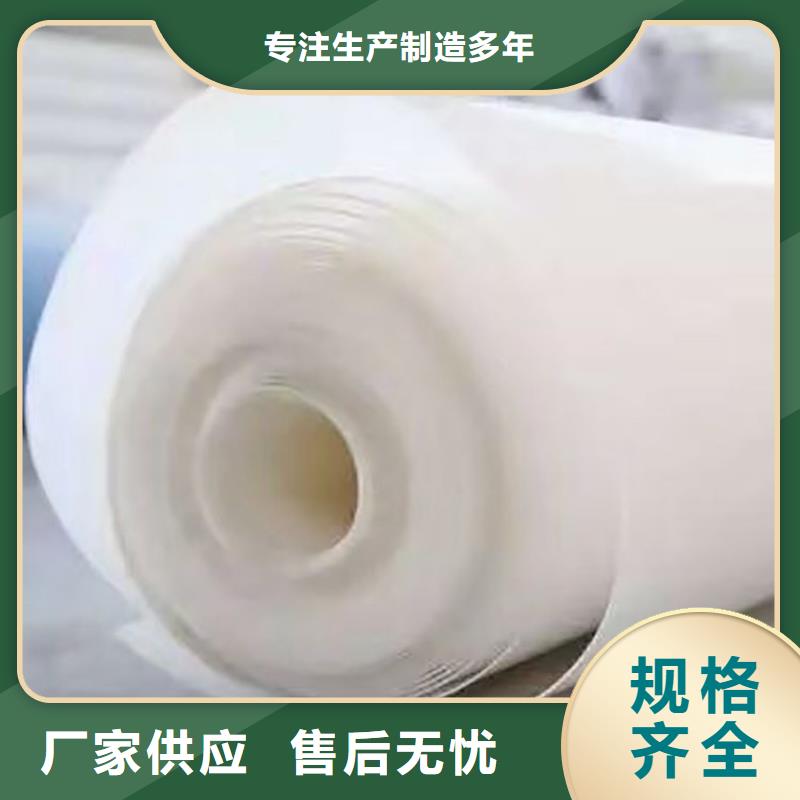 【 防水板-【塑料排水板】颜色尺寸款式定制】本地品牌