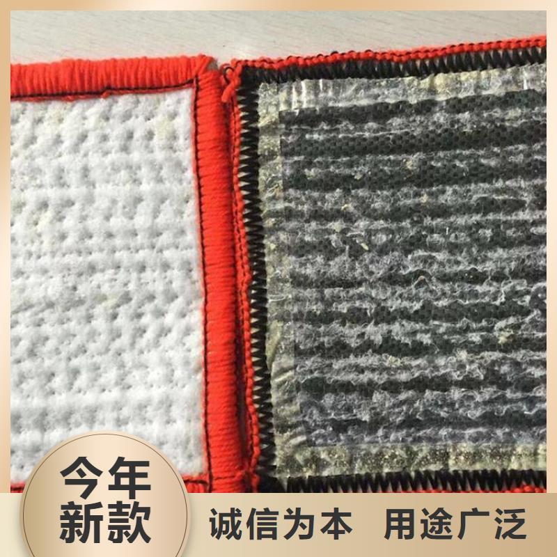 【 膨润土防水毯_土工布厂家工艺先进】鼎诺复合土工膜