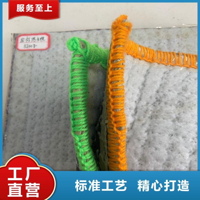 膨润土防水毯_防渗膜厂家精选