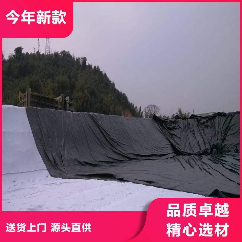 土工膜土工格栅按需设计
