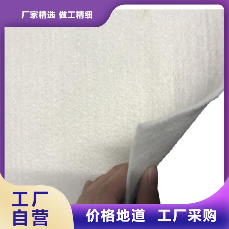 【中齐】真正让利给买家 土工布-【钢塑土工格栅】厂家工艺先进-中齐建材有限公司