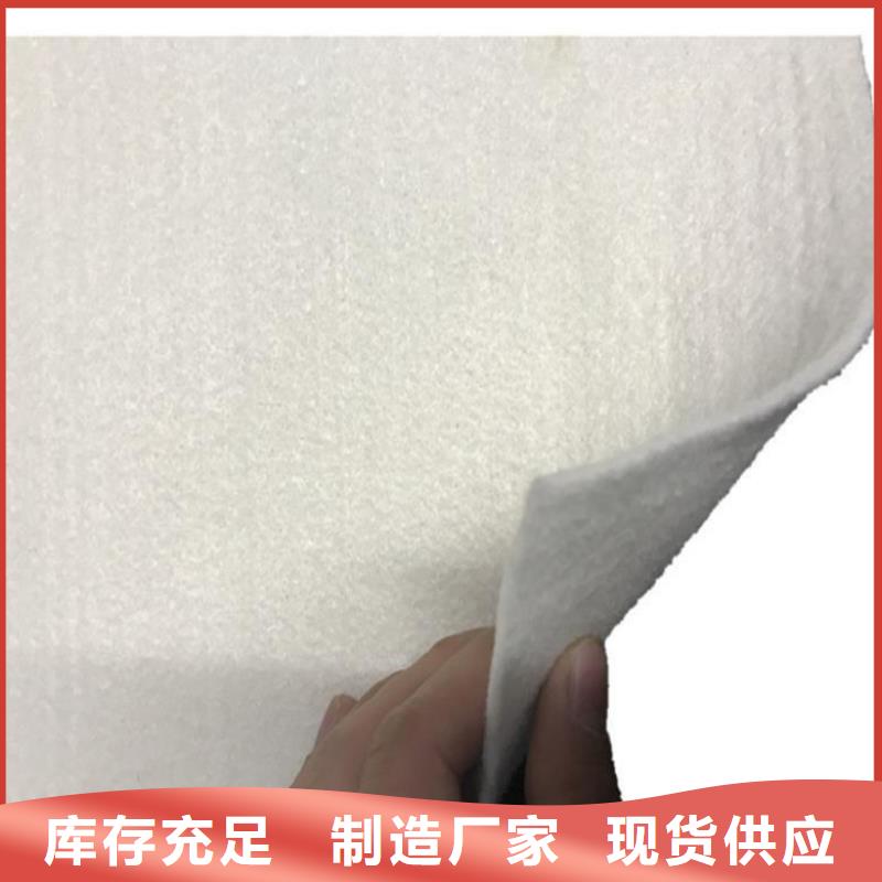 中齐生态带土工布-【钢塑土工格栅】厂家工艺先进