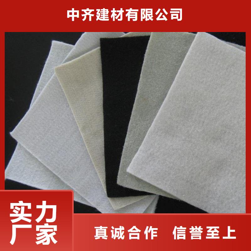 中齐生态带土工布-【钢塑土工格栅】厂家工艺先进