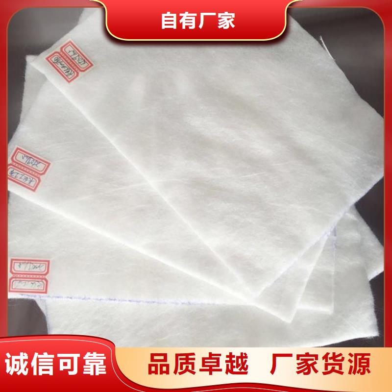 土工布聚丙烯长丝土工布商家