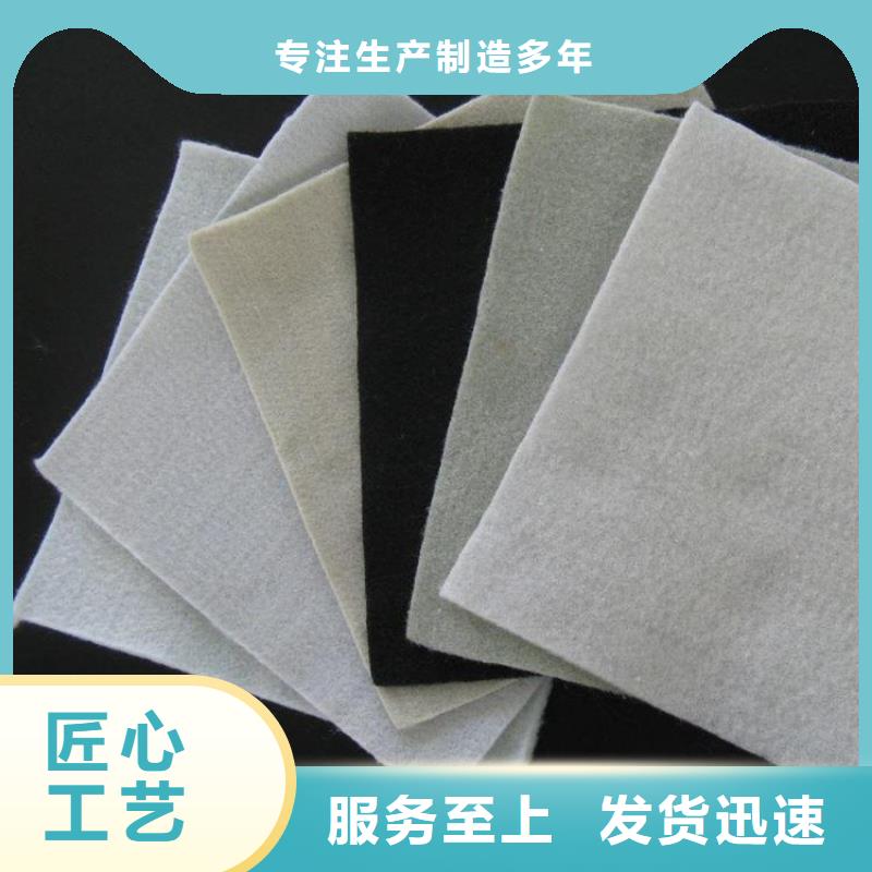 中齐生态带土工布-【钢塑土工格栅】厂家工艺先进