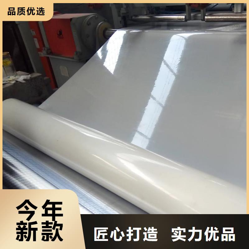 货源【防水板】,土工格栅追求品质