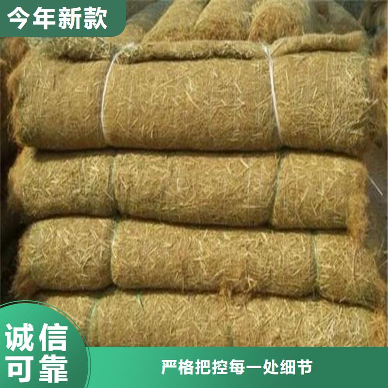 椰丝毯塑料玻纤格栅今年新款