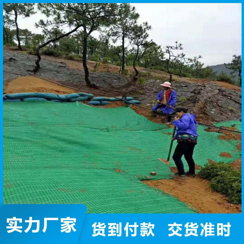 【 椰丝毯_土工膜现货直发】-可发货到花都|从化|韶关|珠海|云浮|揭阳|茂名|东莞