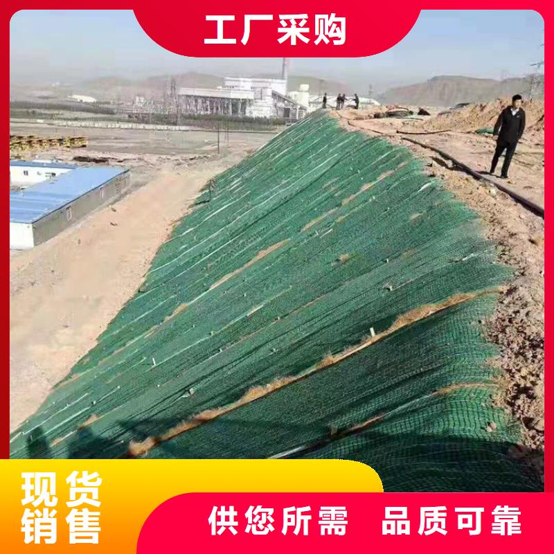 视频:【中齐】高标准高品质 椰丝毯_【软式透水管】来电咨询