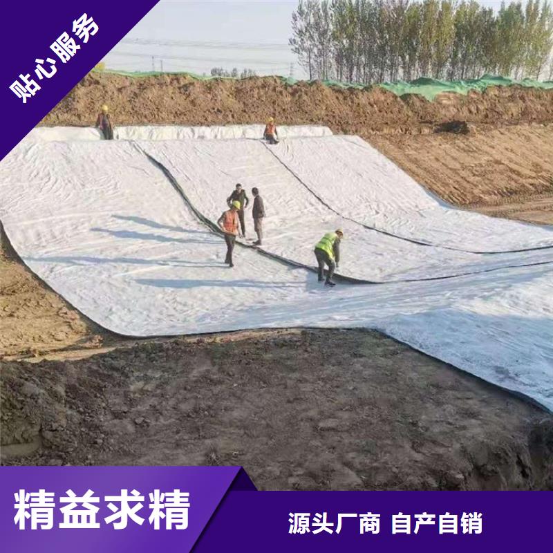 膨润土防水毯 【土工格栅】好货直供