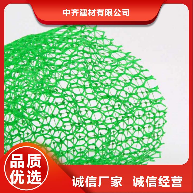 三维植被网土工格栅专业信赖厂家