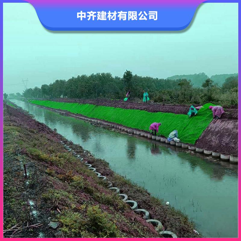 【三维植被网【土工格室】厂家】