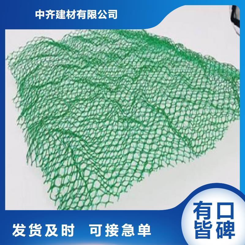 【三维植被网】排水板专心专注专业