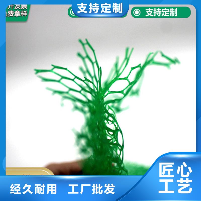 【三维植被网【土工格室】厂家】