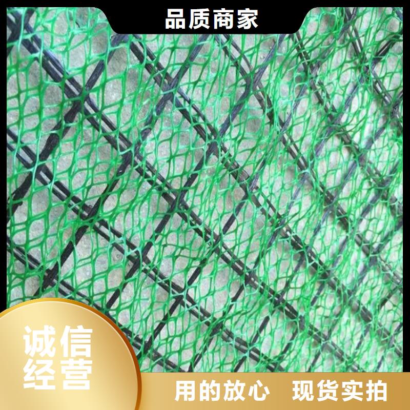 三维植被网塑料盲沟多家仓库发货