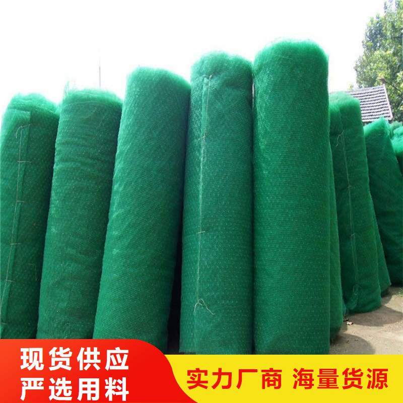 【 三维植被网 HDPE土工膜快速生产】-中齐建材(辽宁省分公司)