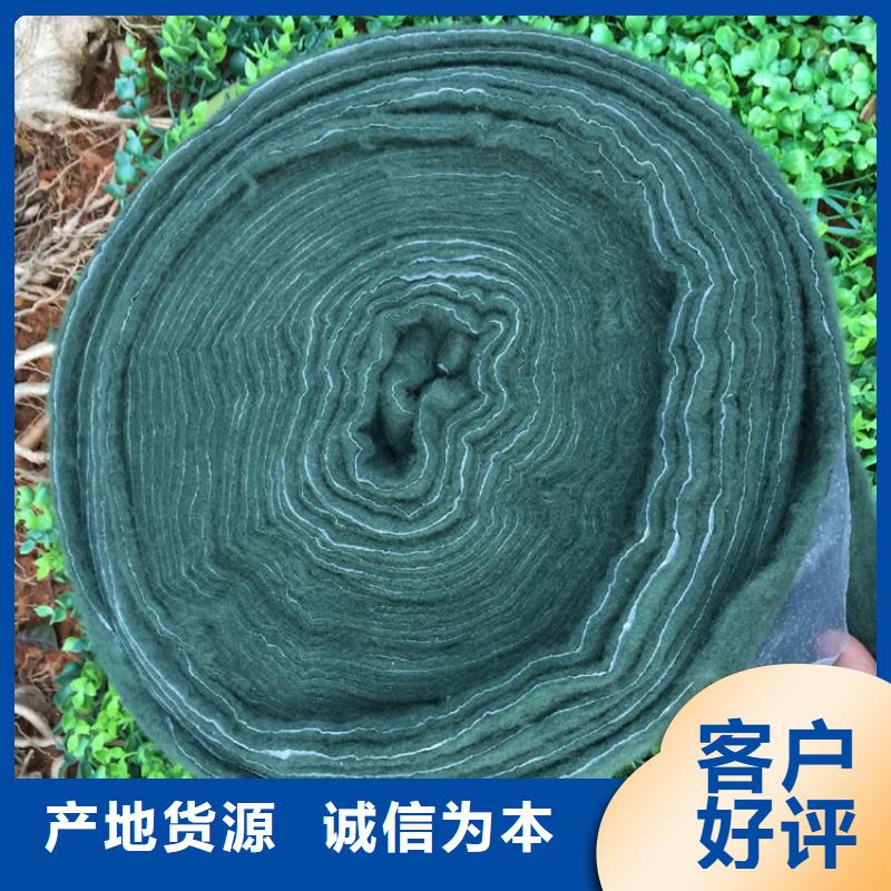 裹树布【防渗膜】专业的生产厂家