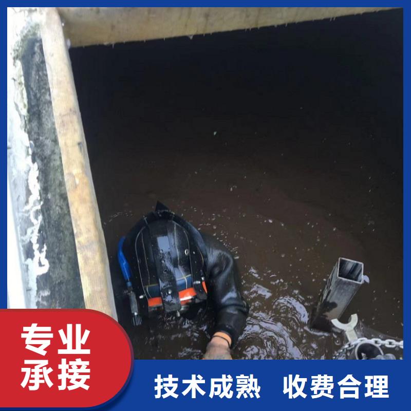 水下照相服务视频-水下照相服务_辽宁省阜新市市场覆盖清河门|细河|本溪|盘锦|抚顺|锦州|大连等
