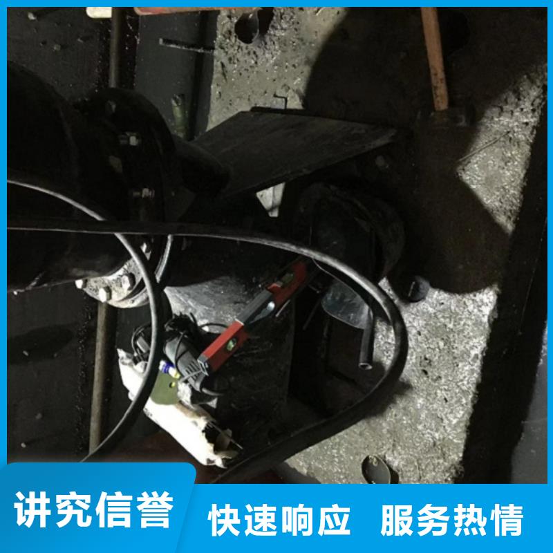 水下照相服务视频-水下照相服务|云南省昭通市|水富|大关|普洱|怒江|曲靖|西双版纳