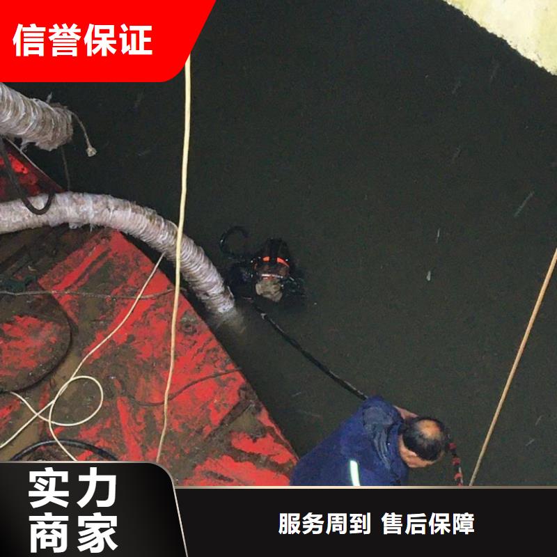 水下照相服务视频-水下照相服务|黑龙江省绥化市|庆安|绥棱|牡丹江|佳木斯|大庆|黑河|大兴安岭|哈尔滨