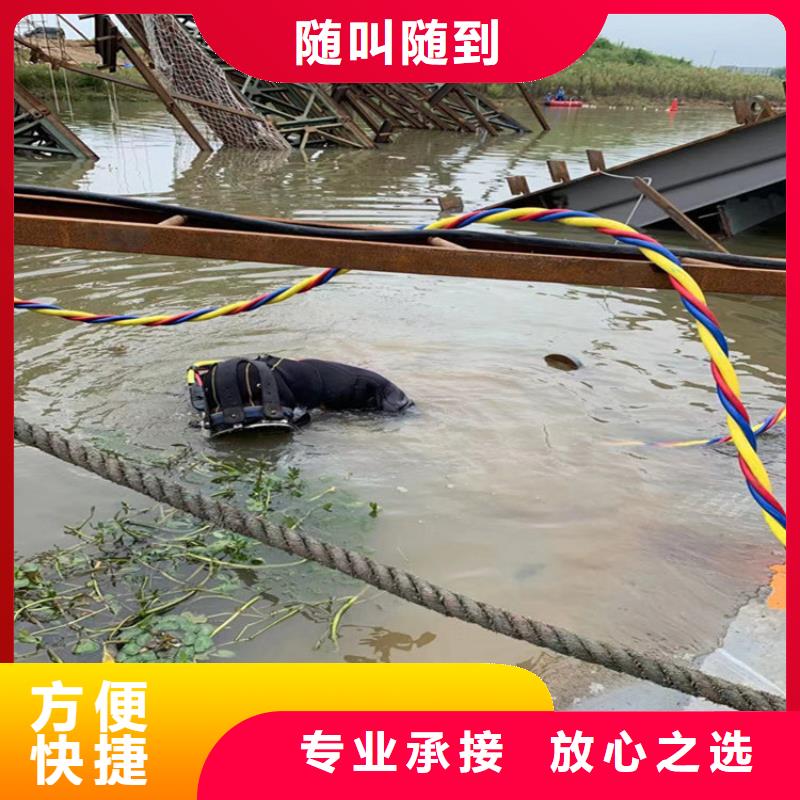 水下照相服务视频-水下照相服务|黑龙江省绥化市|庆安|绥棱|牡丹江|佳木斯|大庆|黑河|大兴安岭|哈尔滨